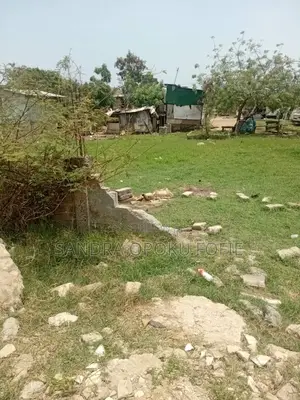 Half Plot of Land for Sale at Lashibi Community 19 Annex