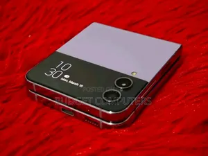 Samsung Galaxy Z Flip 3 256 GB Gray