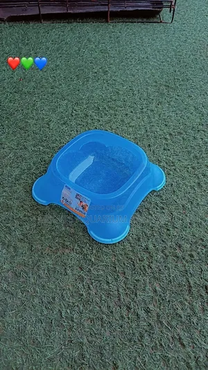 Single Dog Plastic Bowl