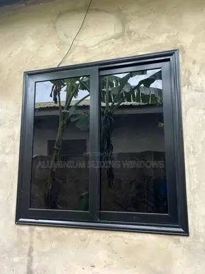 Black Frame and Dark Glass Sliding Windows With Net and Locks
