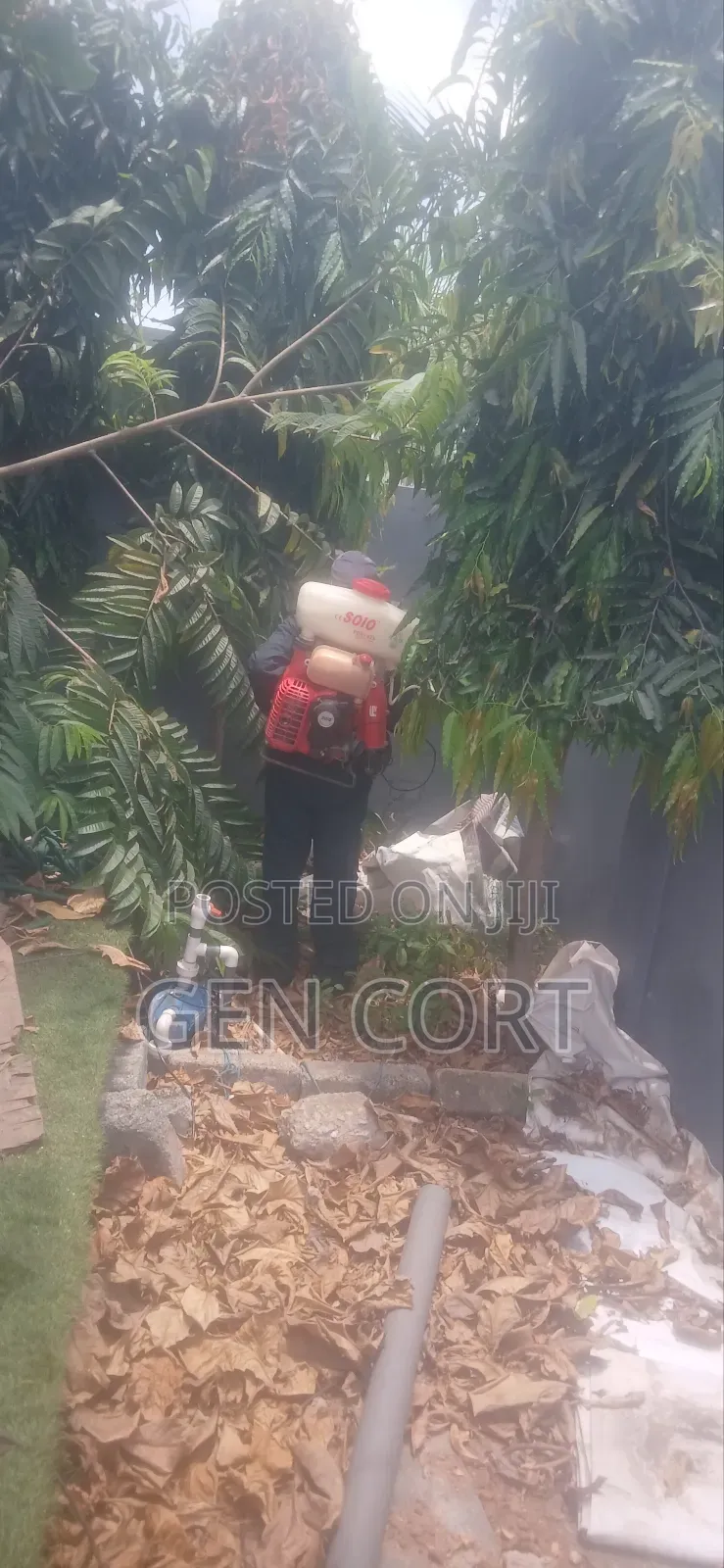 Periodic Fumigation Service