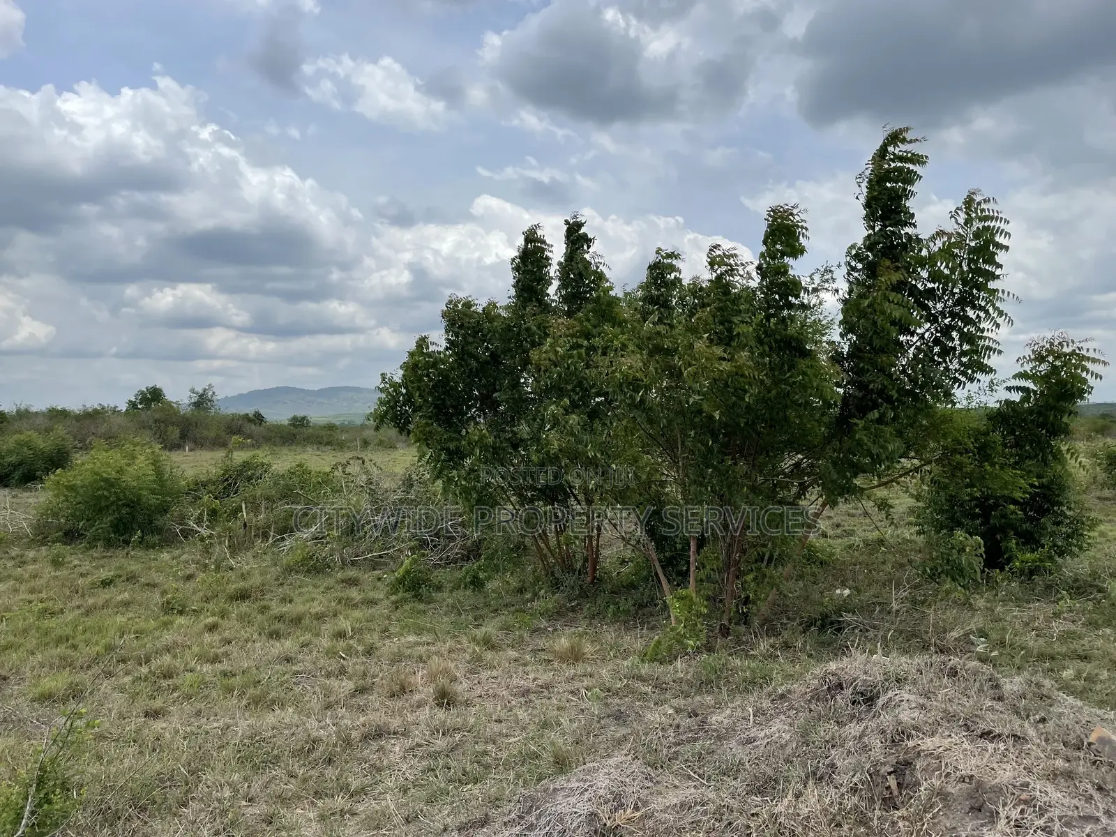 Prime Roadside Land - Between Winneba Apam