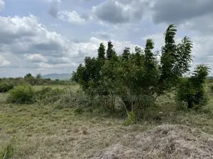 Prime Roadside Land - Between Winneba Apam