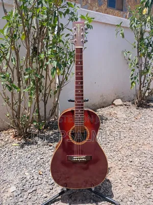Aria Adl-01bs Acoustic Guitar