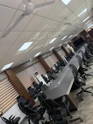 Zebra Blinds Curtains 