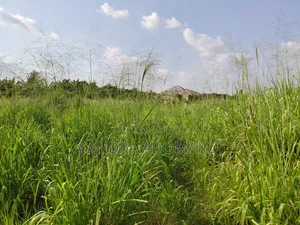 Litigation Free Full Plot Forsale at Emena Apemso Near Deduako