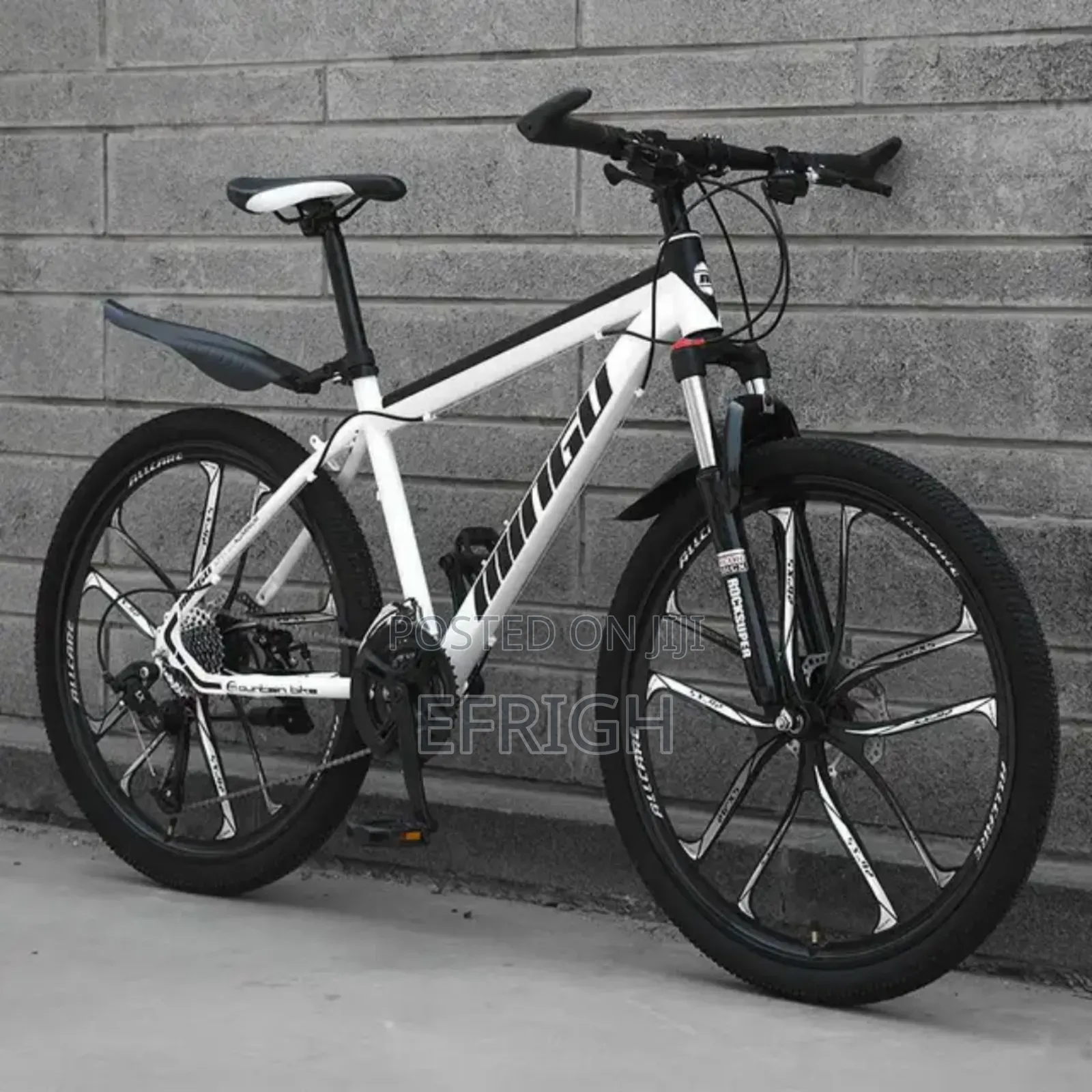 Mountain Bicycle