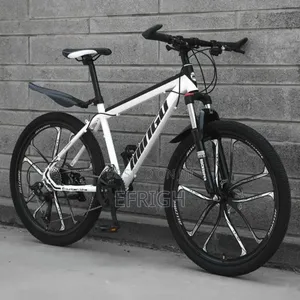 Mountain Bicycle