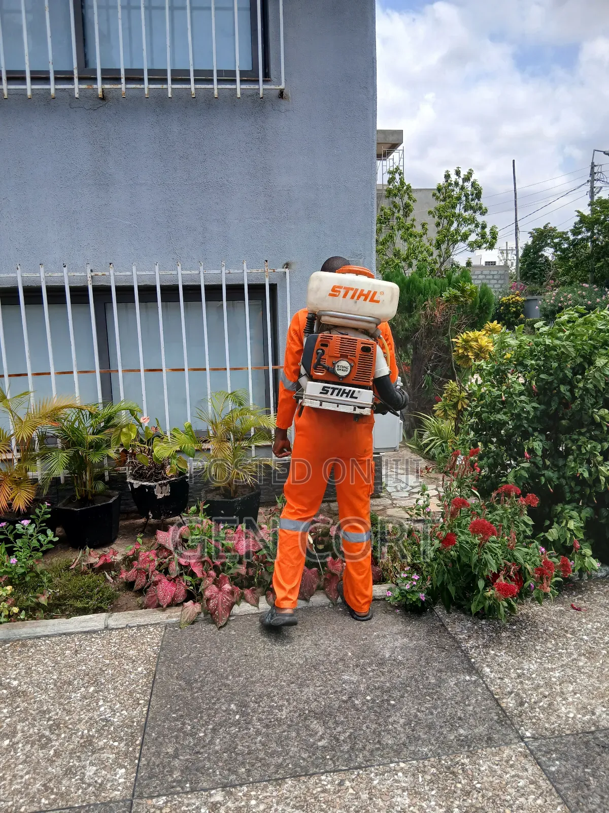 Schools Fumigation