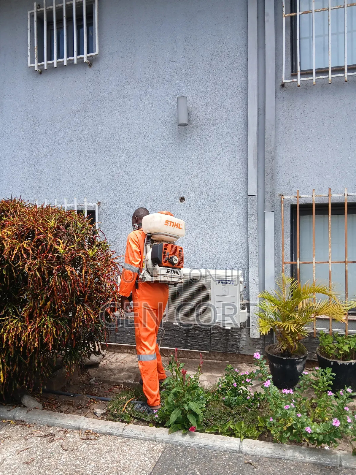 Bedbugs Pest Control