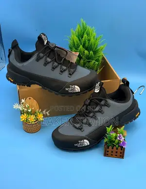 North Face Glenclyffe Low Average