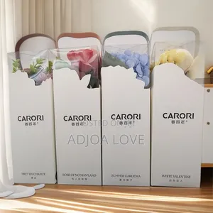 Carori Aromatherapy Diffuser