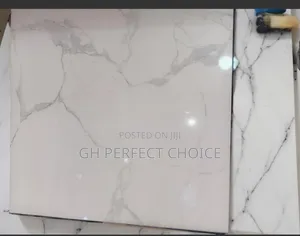 Authentic 60 by 60 Centimeter Polished Flooring
