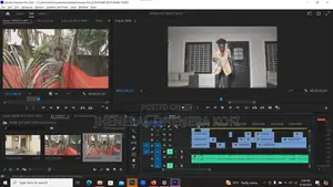 Professional Video Editor