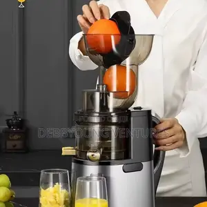 Portable Electric Citrus Juicer Stainless Steel