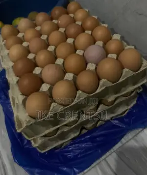 Fresh Farm Eggs-Medium to Large Size