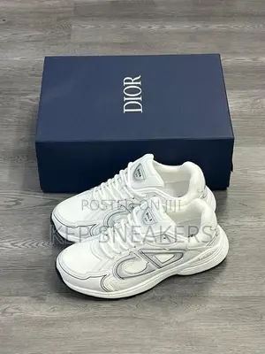 Dior B30 Model