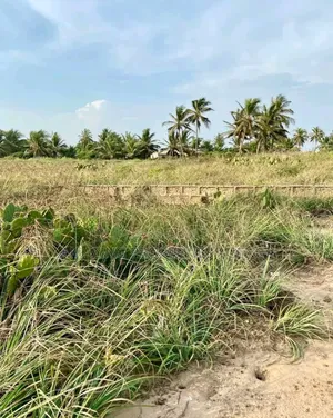 5 Plots of Land Available for Sale at Lashibi, Behind Emefs