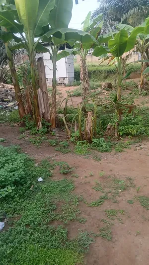 2 Plots 120ft/110ft) of Land With an Old Building for Sale at Dzorwulu