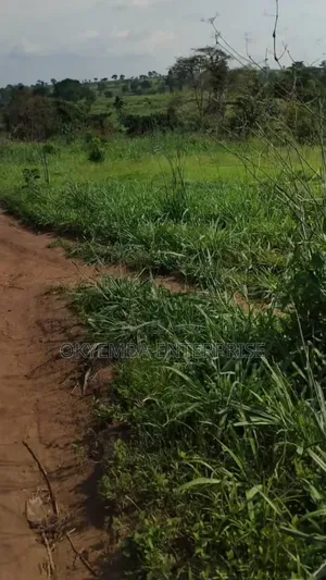 Farm Land For Sell At Cool Price