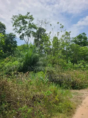 50,000 + Acres of Farm Land for Sale