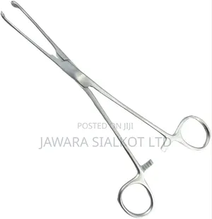 Allis Tissue Holding Forcep 24cm