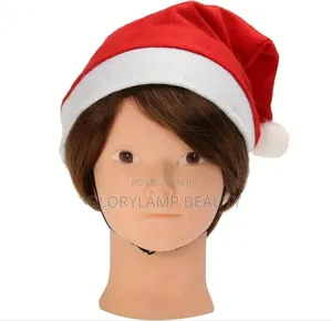 Professional Bald Mannequin Head for Wig Making-Soft PVC Training Head