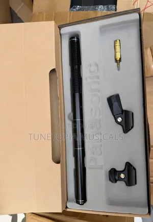 Panasonic Boom Mic