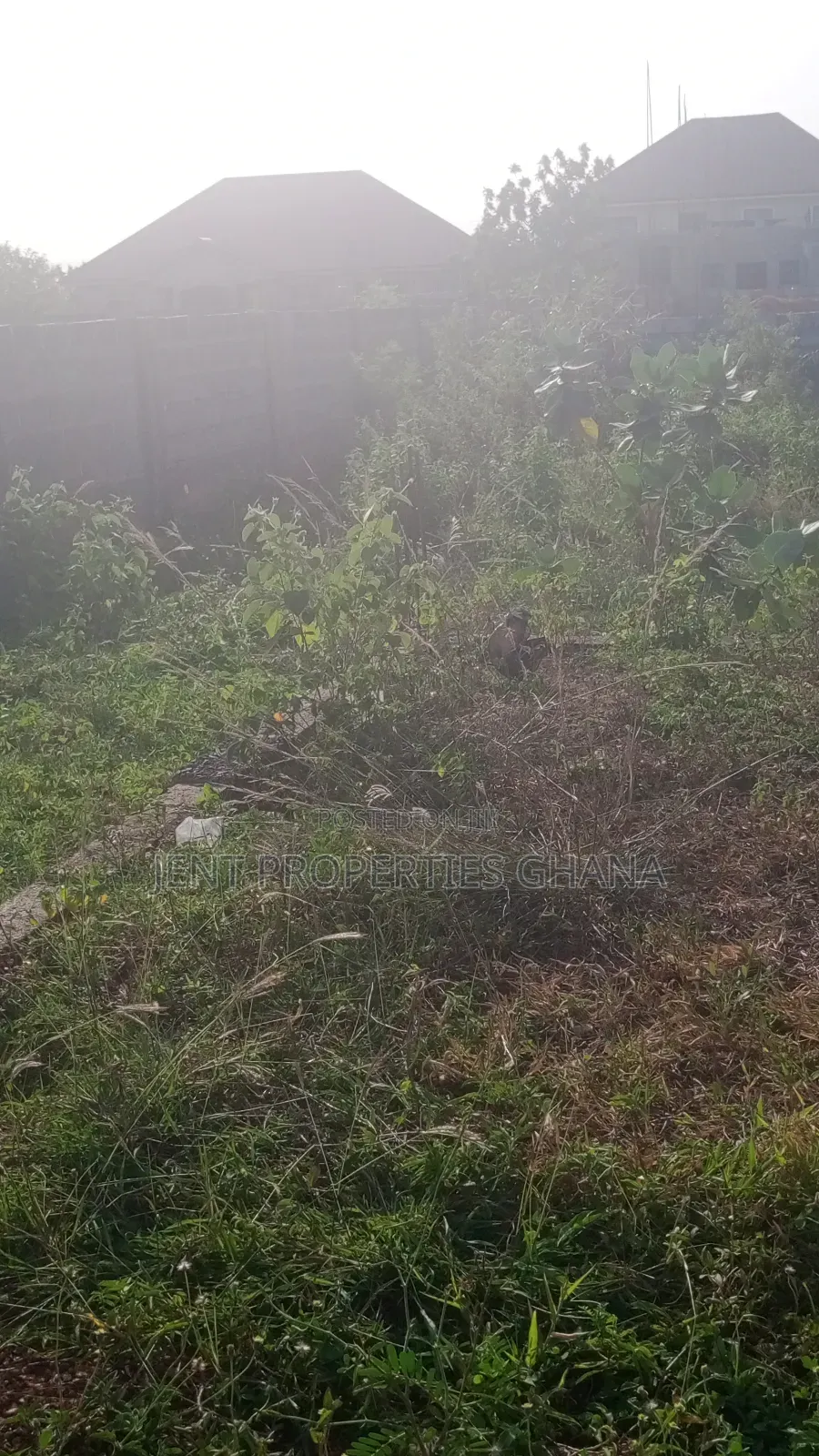 Road Side Lands for Sale at Afienya -Akosombo Main Road