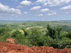 Residential Land