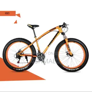Brand New Hosquick Big Tire Bike