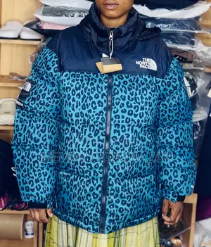 High Quality Medium N Only Large Sizes North Face Winter Jacket Availa