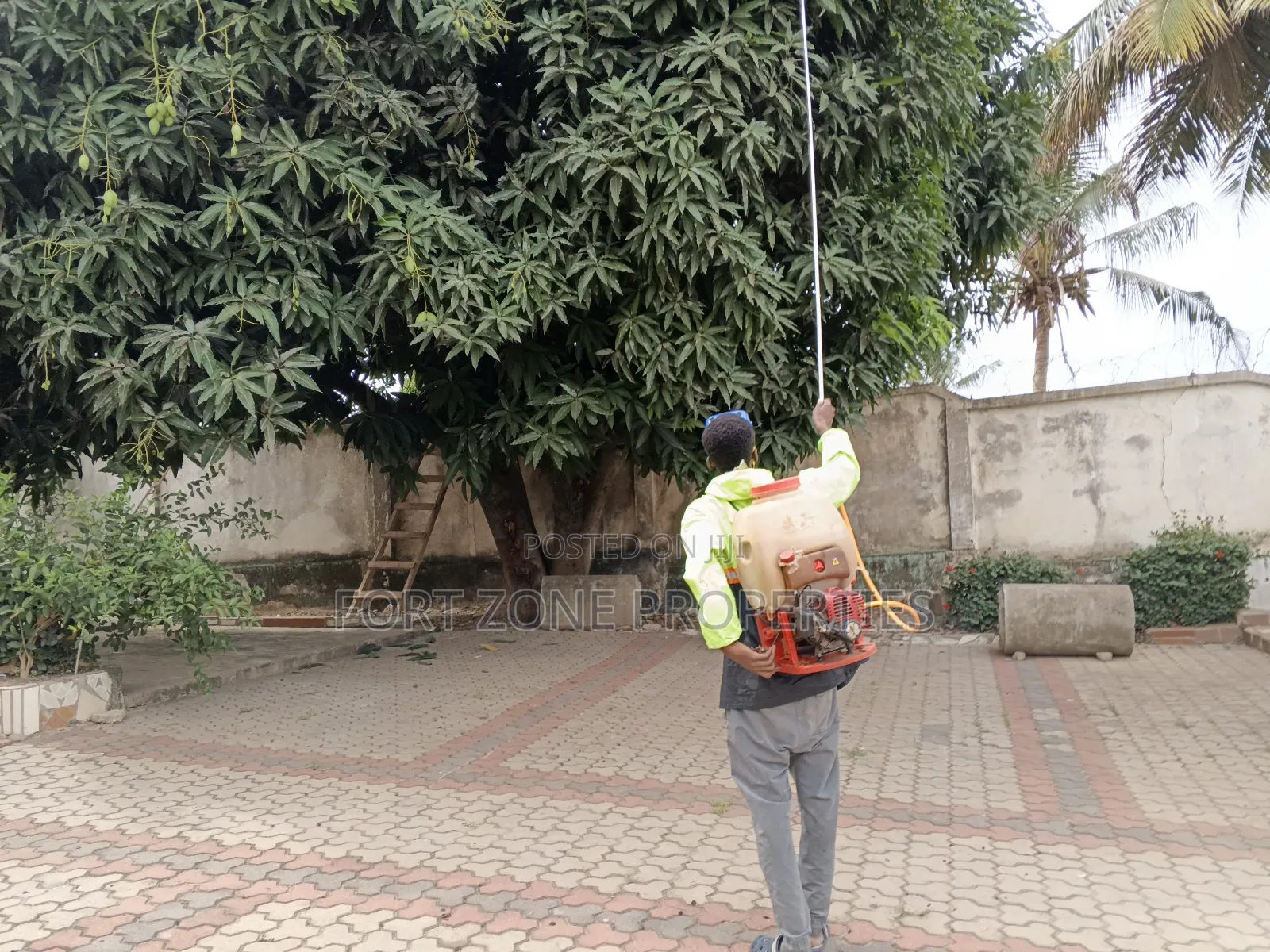 Trees,Gardens,Kitchen,Homes,Guitars Fumigation