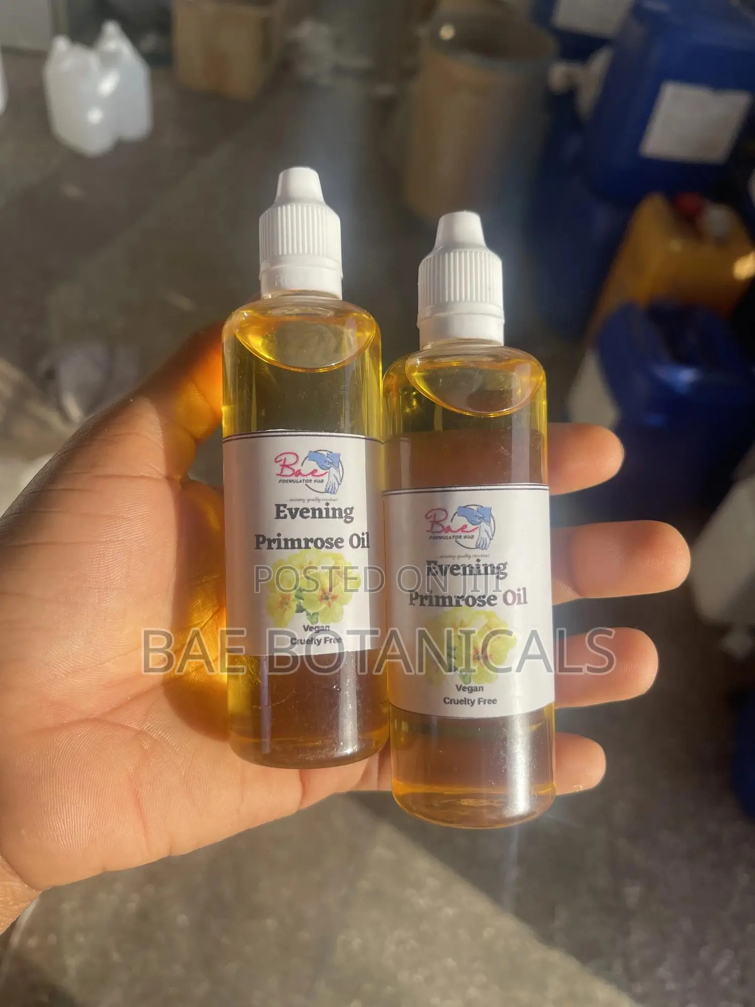 Evening Primrose Oil