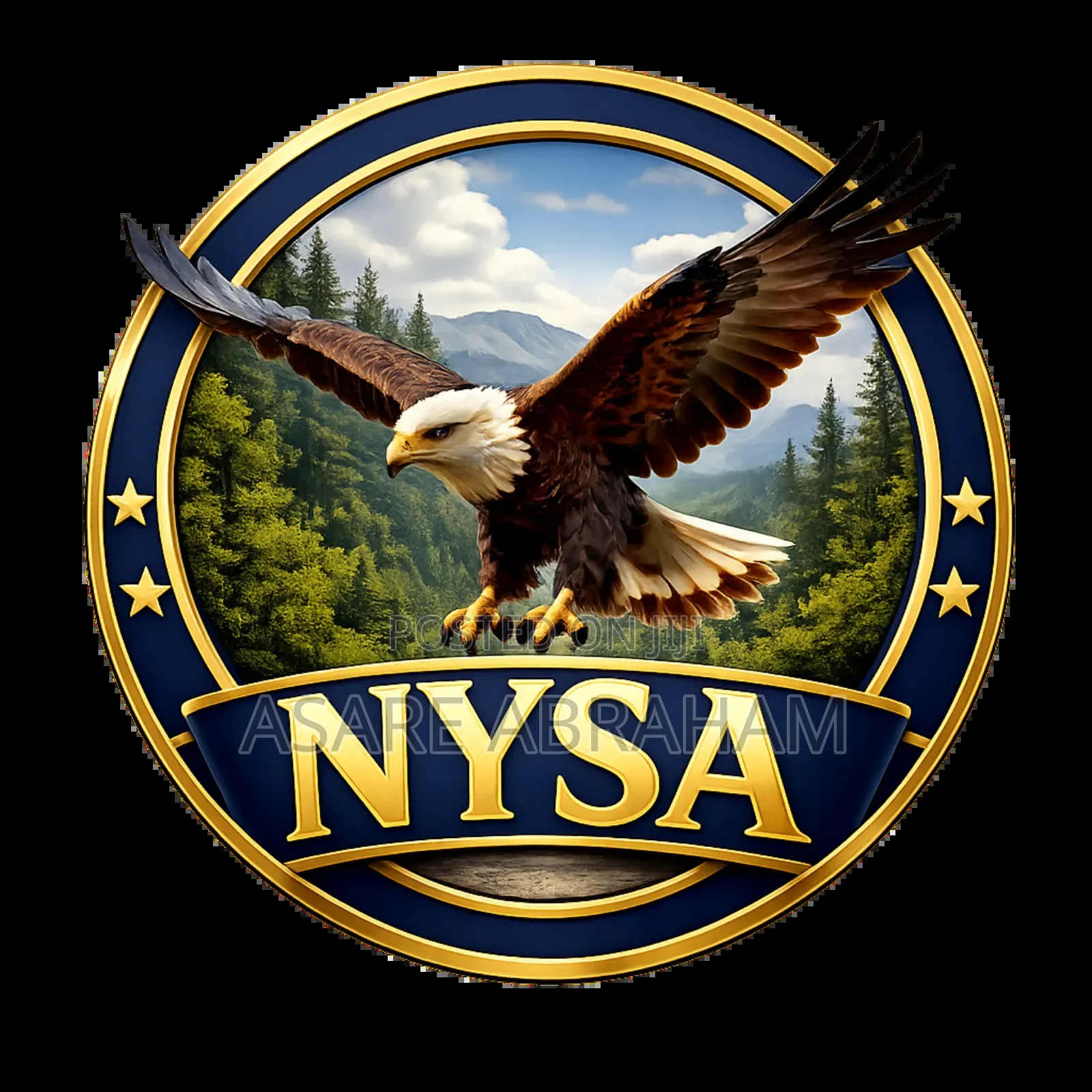 Professional Graphics Designer - Nysa Networks