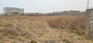 Demarcated Neat Plots - Prampram Beach Road