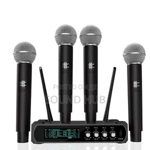 Professional 4 in 1 Microphone