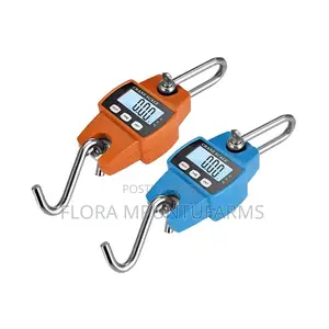 300kg Hanging Scale