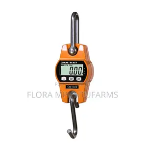 300kg Hanging Scale