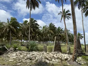 Beach Front 15 Acres Land at Fetteh Central Region