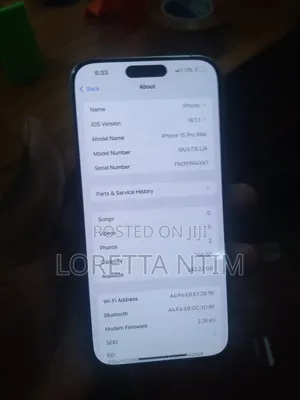 Apple iPhone 15 Pro Max 256 GB Silver