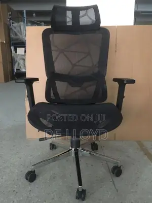 Ergonomic Office Chair