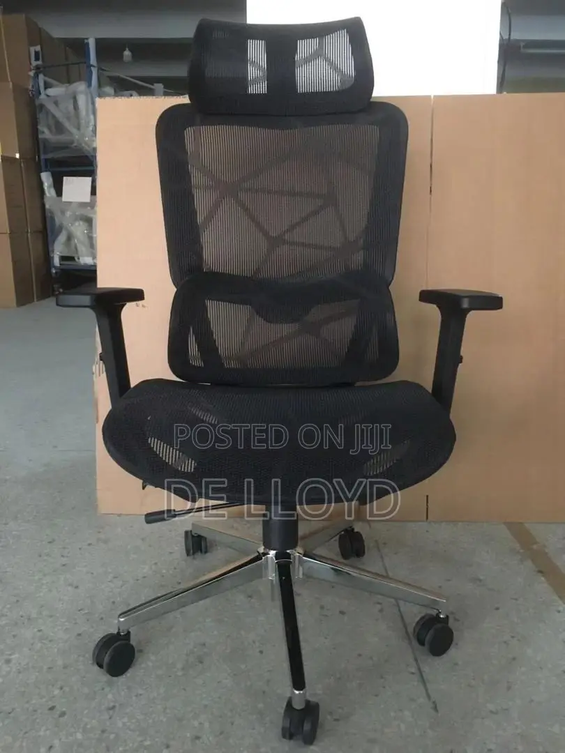 Ergonomic Office Chair