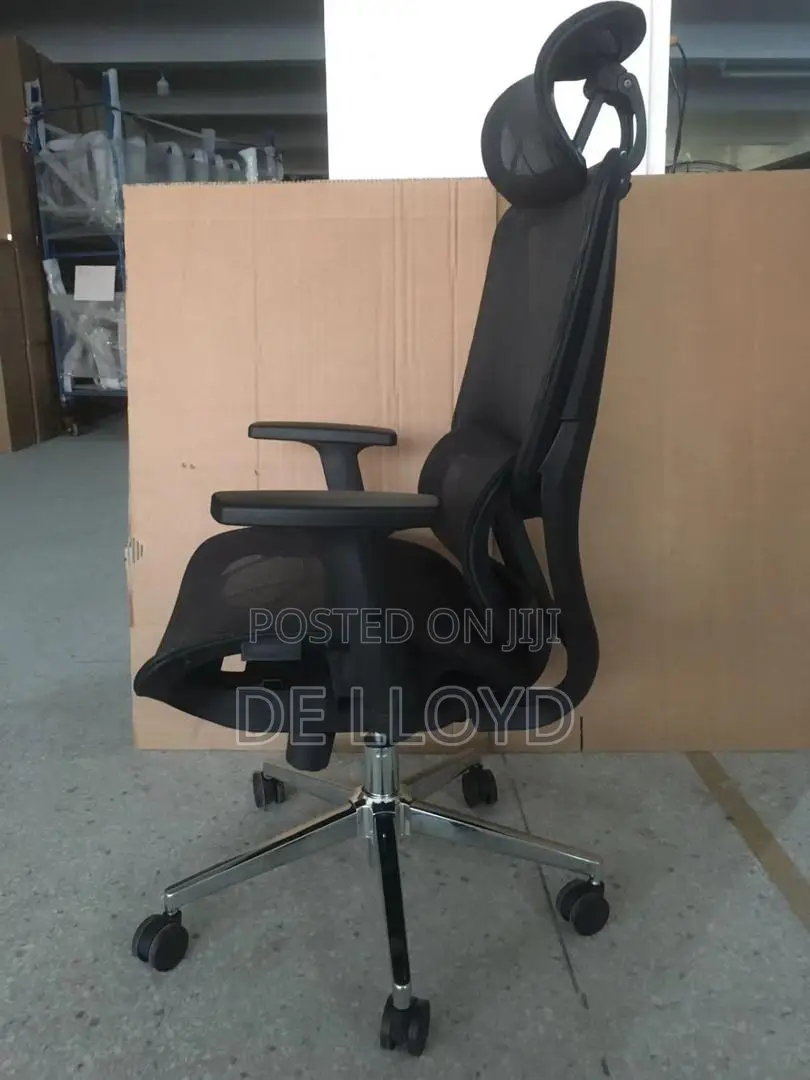 Ergonomic Office Chair