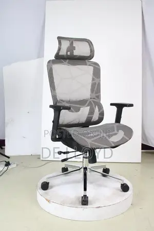 Ergonomic Office Chair