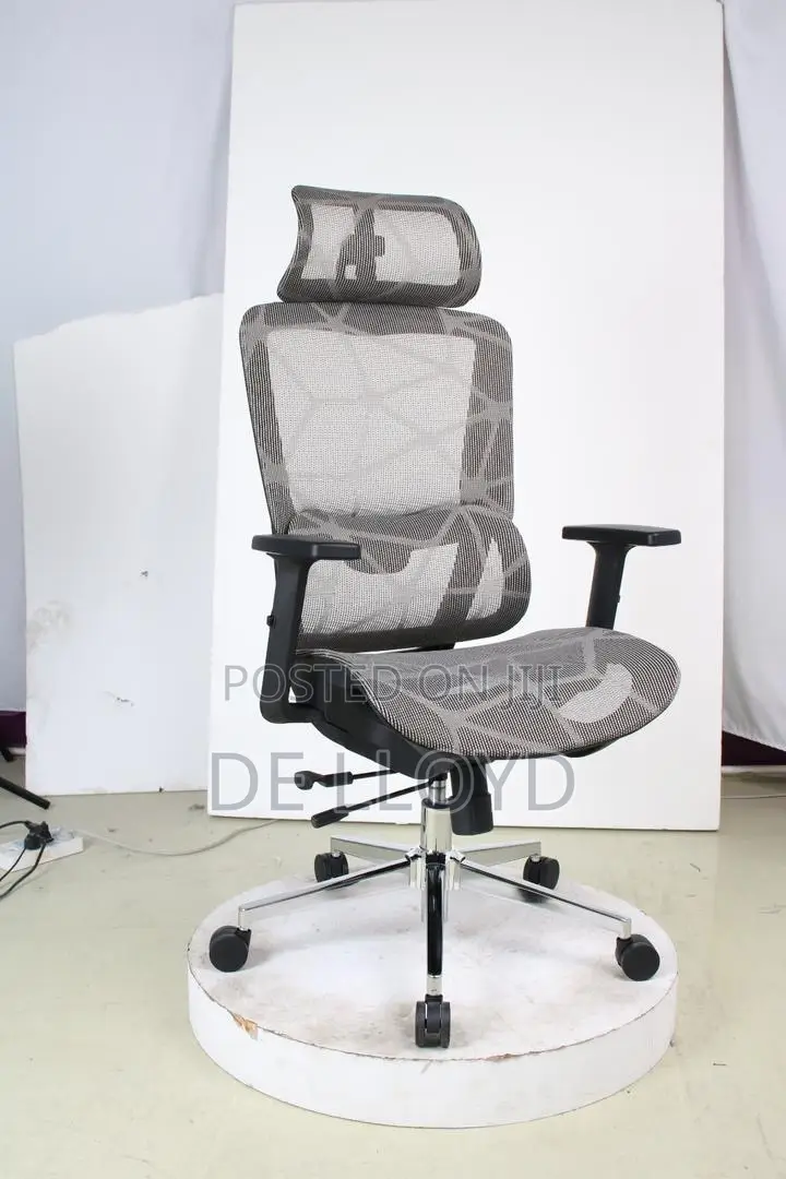 Ergonomic Office Chair