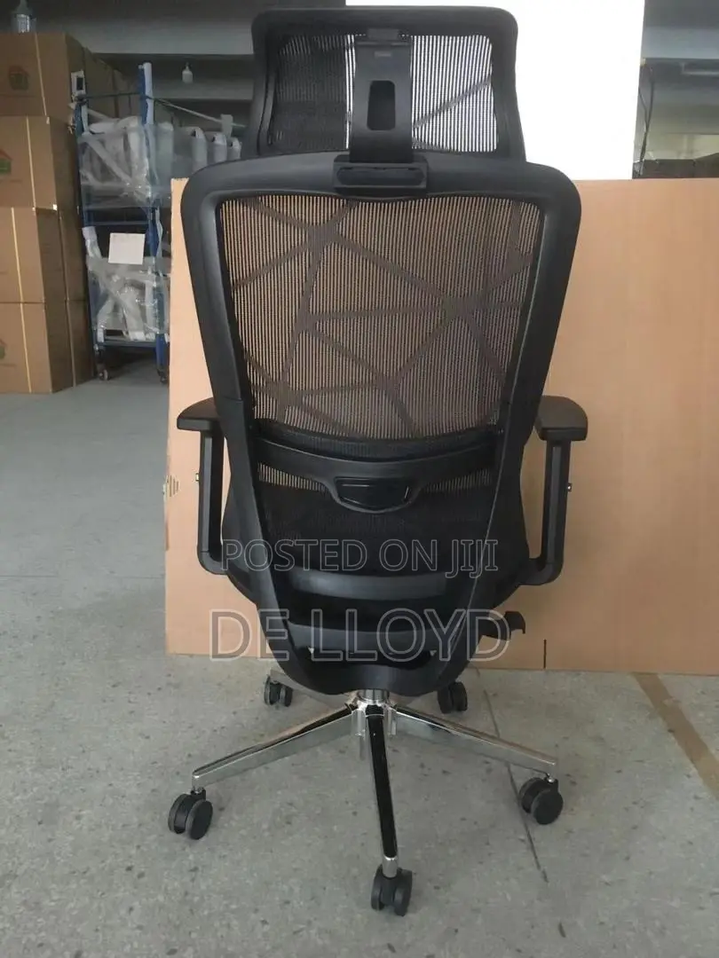 Ergonomic Office Chair