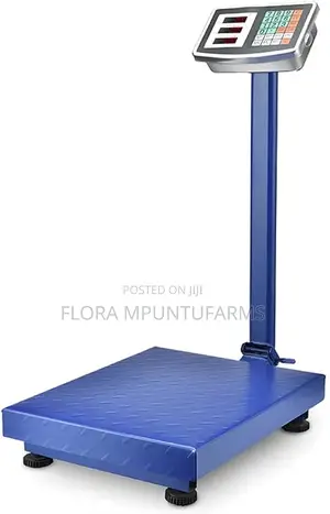 300kg Industrial Platform Scale