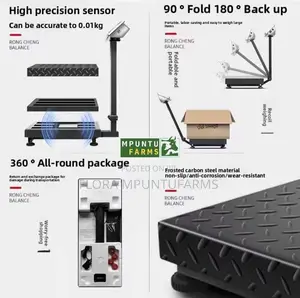 300kg Industrial Platform Scale