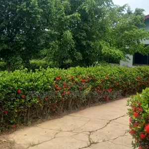 One Acre Land With Church for Sale at Kwadaso Estate